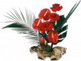 /album/fotogalerij-tubes-bloemen/roses-callas-leaves-flower-decoration-26362-1024x768-jpg/